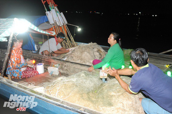 Sướng mắt theo ghe miền Tây săn tôm càng, cá bông lau - Ảnh 2.