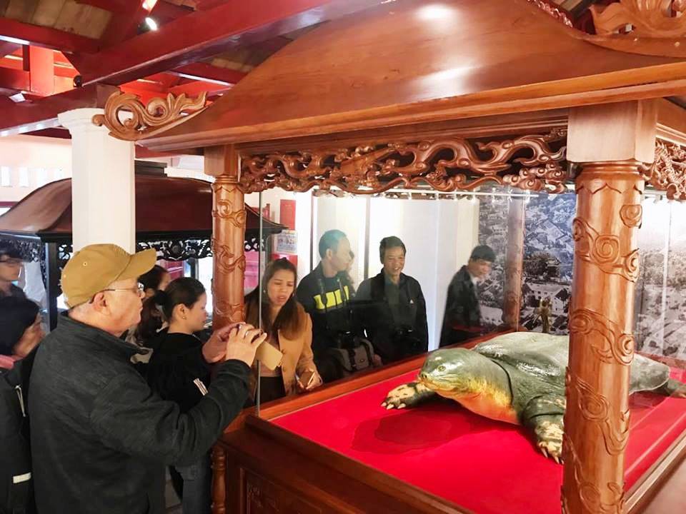Tiêu bản cụ rùa hồ Gươm được đưa vào trưng bày ở đền Ngọc Sơn - Ảnh 6.