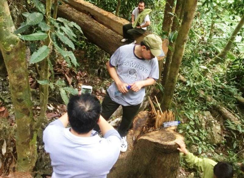 Cận cảnh phá rừng trong vùng lõi Khu bảo tồn thiên nhiên Ngọc Sơn - Ngổ Luông - Ảnh 5.