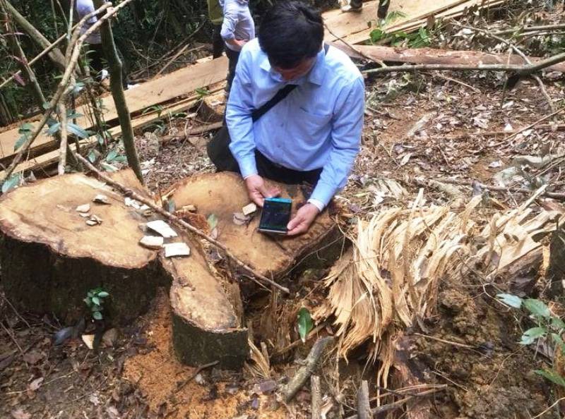Cận cảnh phá rừng trong vùng lõi Khu bảo tồn thiên nhiên Ngọc Sơn - Ngổ Luông - Ảnh 4.