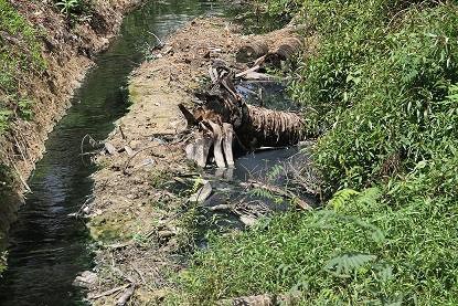 Vụ HS đeo khẩu trang nghe giảng: “Tối hậu thư” cho doanh nghiệp gây ô nhiễm - Ảnh 1.