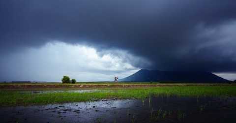 Tây Ninh - vùng đất cuốn hút từ vẻ đẹp bình dị giữa đời thường - Ảnh 10.