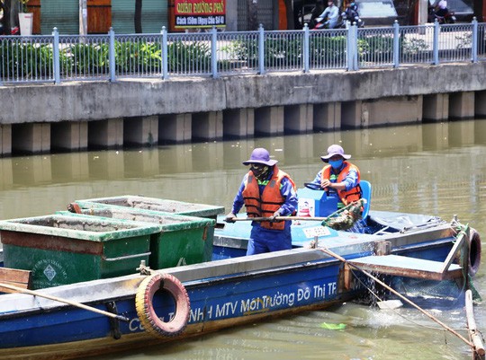 UBND TP HCM chỉ đạo giảm đàn cá ở kênh Nhiêu Lộc - Thị Nghè  - Ảnh 1.