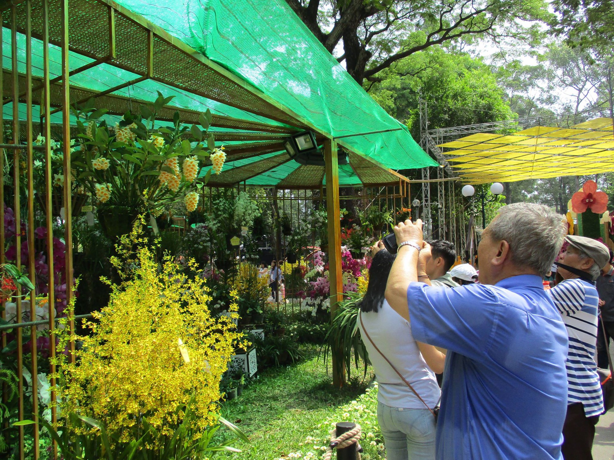 Festival Hoa lan TP HCM khai mạc, miễn phí cho khách tham quan - Ảnh 2.