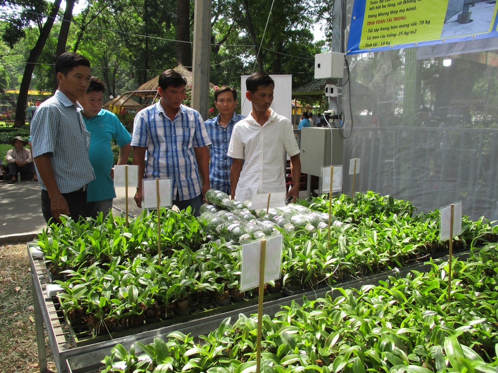 Festival Hoa lan TP HCM khai mạc, miễn phí cho khách tham quan - Ảnh 10.