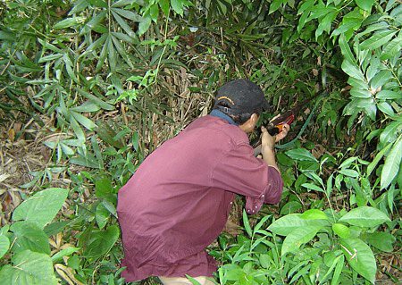 Tưởng thú rừng, thợ săn bắn nhầm người cùng làng trong bụi rậm - Ảnh 1.