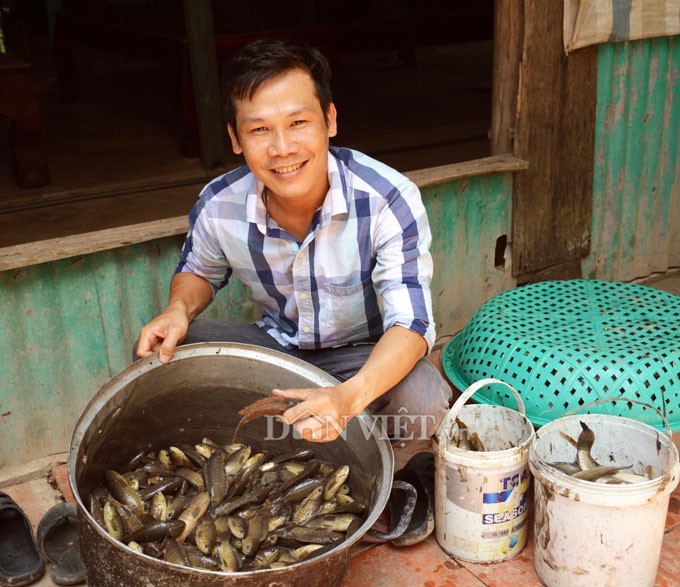 Sướng với cá đồng quẫy loạn xạ ở đìa vừa tát tại huyện Trần Văn Thời - Ảnh 2.
