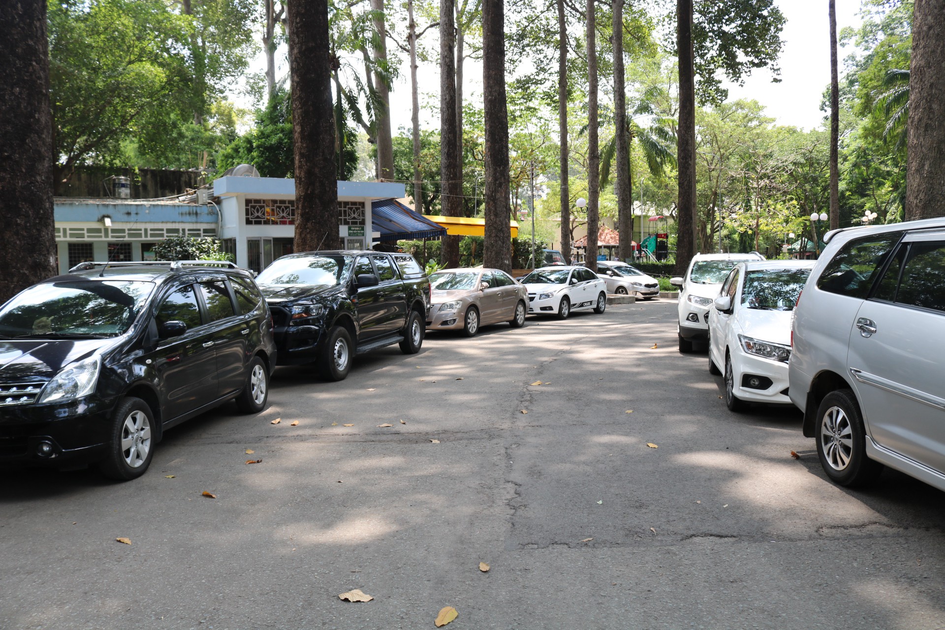 TP HCM: Lập hẳn bãi giữ ôtô tự phát trong công viên Tao Đàn và chặt chém? - Ảnh 3.