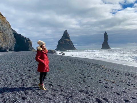 Bãi biển cát đen đẹp huyền ảo không ai được phép tắm ở Iceland - Ảnh 4.