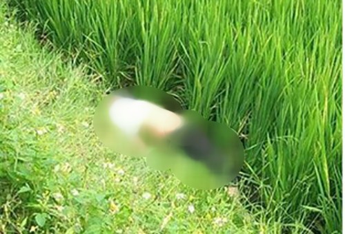 Tá hỏa phát hiện người đàn ông tử vong bên xe máy - Ảnh 1. Tá hỏa phát hiện người đàn ông tử vong bên xe máy - Ảnh 1.