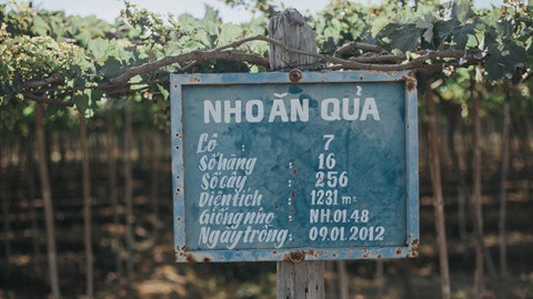 Có những góc thật tình trên mảnh đất Ninh Thuận nắng gió - Ảnh 15.