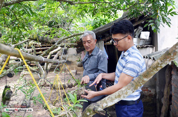 Ngỡ ngàng với khu vườn lan cổ thụ ở Tuyên Quang - Ảnh 6.