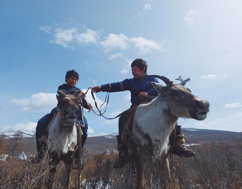 Cuộc sống dưới cánh đại bàng của người dân Mông Cổ - Ảnh 4.