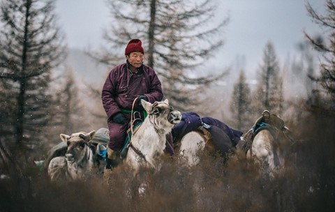 Cuộc sống dưới cánh đại bàng của người dân Mông Cổ - Ảnh 8.