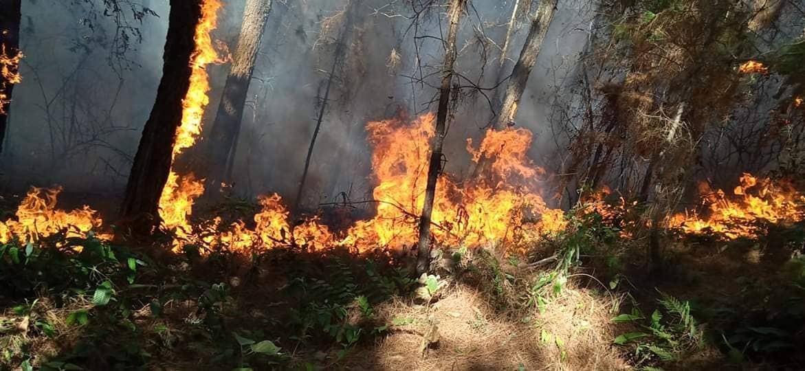 Cháy rừng kinh hoàng ở Hà Tĩnh: Lập chốt chặn trên QL 1A cũ, sơ tán dân - Ảnh 9.