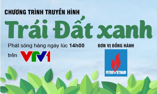 Tập đoàn Dầu khí Việt Nam đồng hành cùng chương trình Trái đất xanh - Ảnh 1.