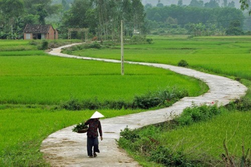 Ngõ quê, khói lam chiều,... như ru lòng người - Ảnh 1.