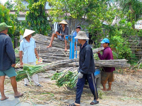 Ngành mía đường tụt dốc - Ảnh 1.