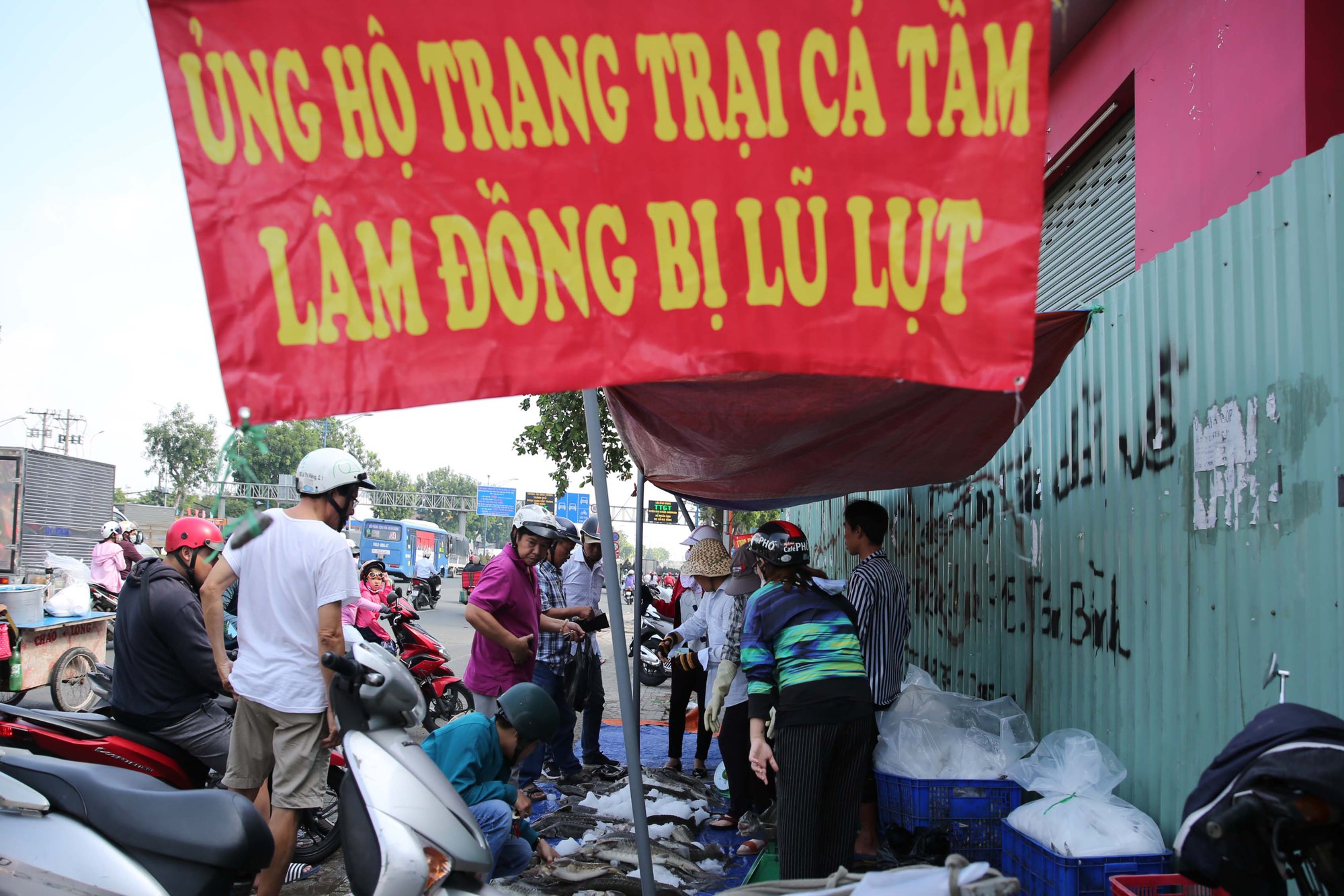 Người dân TP HCM chen nhau mua cá tầm bị ngộp nước - Ảnh 1.