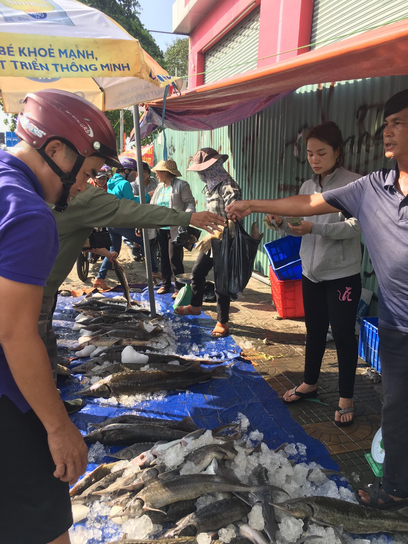 Người dân TP HCM chen nhau mua cá tầm bị ngộp nước - Ảnh 14.