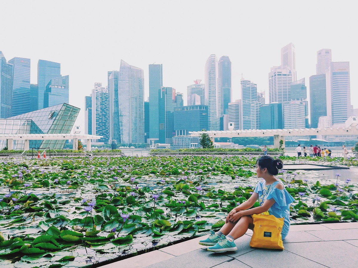 Từ mưa trong nhà đến nấc thang lên thiên đường, ra mà xem Singapore ngát xanh này! - Ảnh 1.