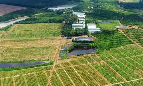 Chào bán homestay trang trại kèm bao lãi - Ảnh 1.