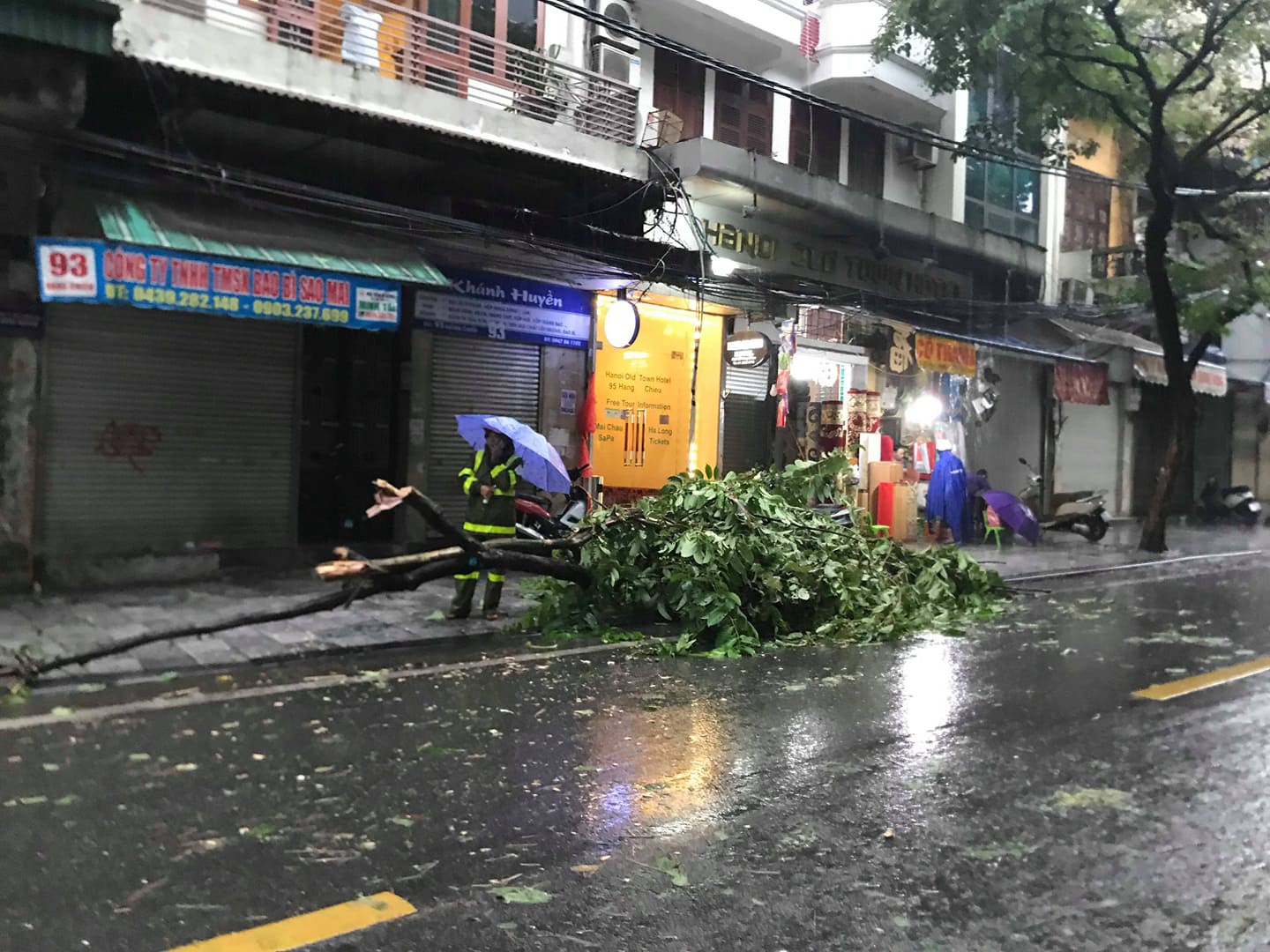 Hà Nội: Mưa rất to, cây cối đổ la liệt  do ảnh hưởng bão số 3 - Ảnh 6.