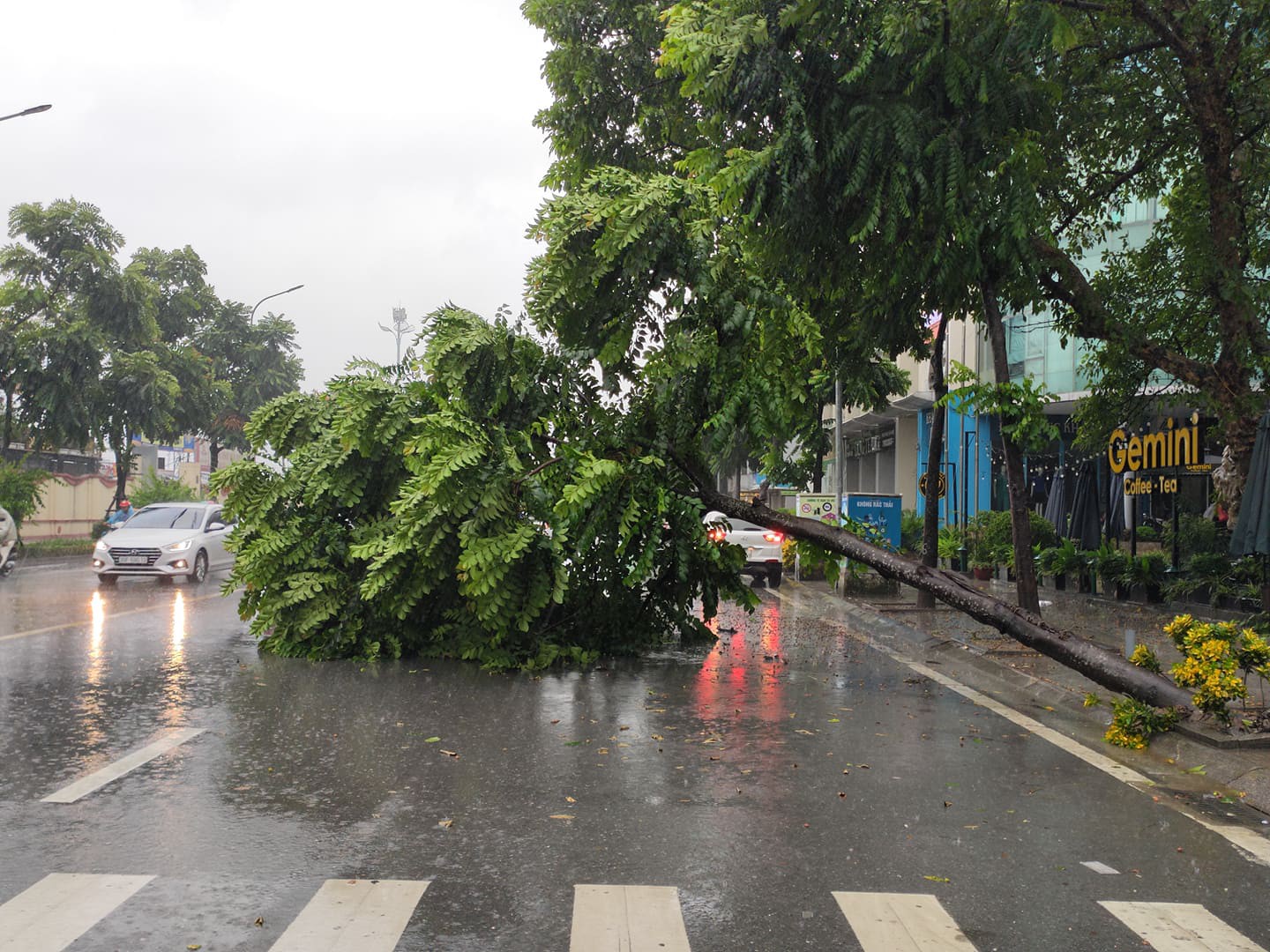 Hà Nội: Mưa rất to, cây cối đổ la liệt  do ảnh hưởng bão số 3 - Ảnh 7.