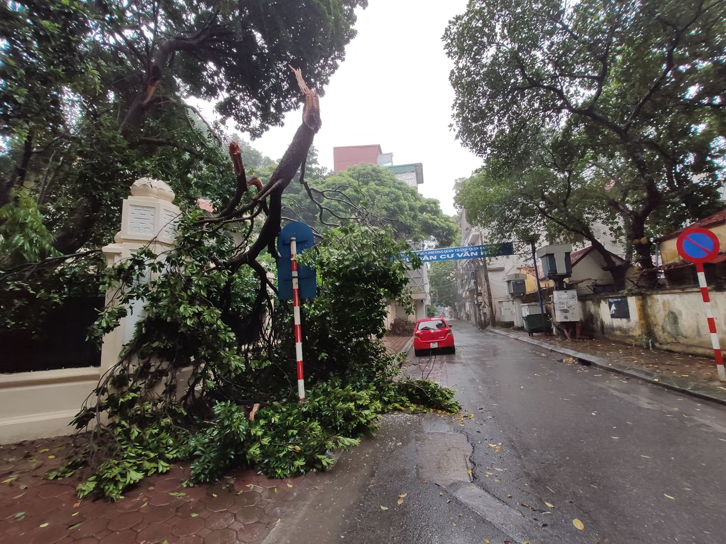 Hà Nội: Mưa rất to, cây cối đổ la liệt  do ảnh hưởng bão số 3 - Ảnh 1.