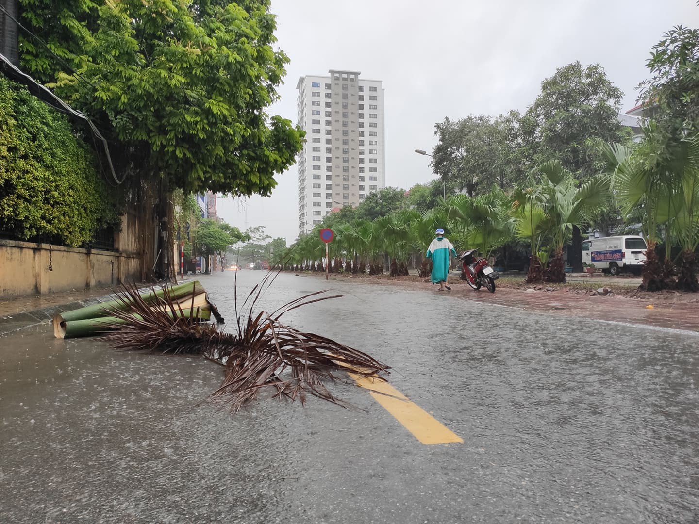 Hà Nội: Mưa rất to, cây cối đổ la liệt  do ảnh hưởng bão số 3 - Ảnh 9.