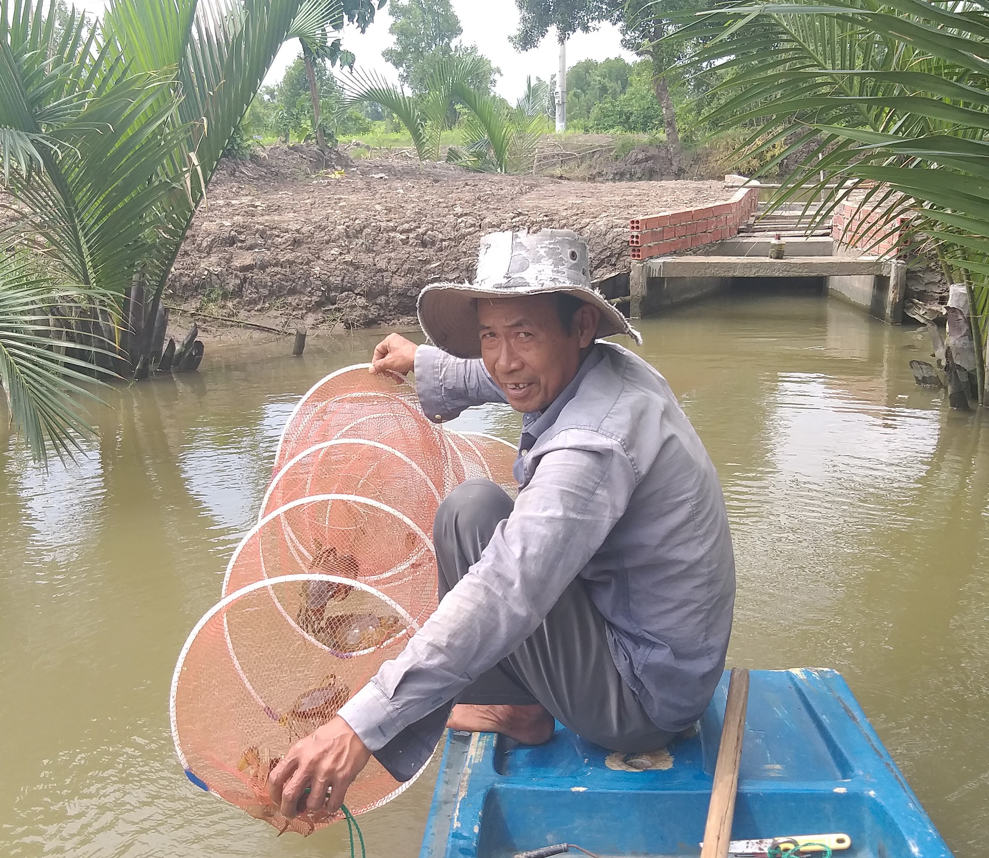 Bí quyết chọn cua biển Cà Mau ngon, tránh hàng đểu - Ảnh 1.