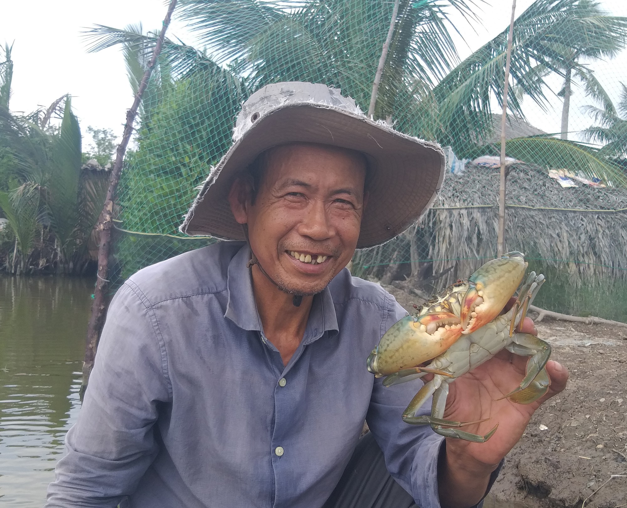 Bí quyết chọn cua biển Cà Mau ngon, tránh hàng đểu - Ảnh 3.