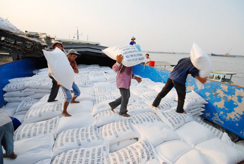 Gạo Việt Nam tìm cơ hội trong khó khăn - Ảnh 1.