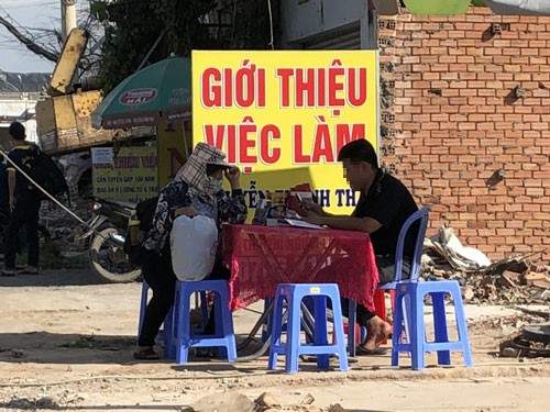 Dịch vụ việc làm vẫn bát nháo - Ảnh 1.