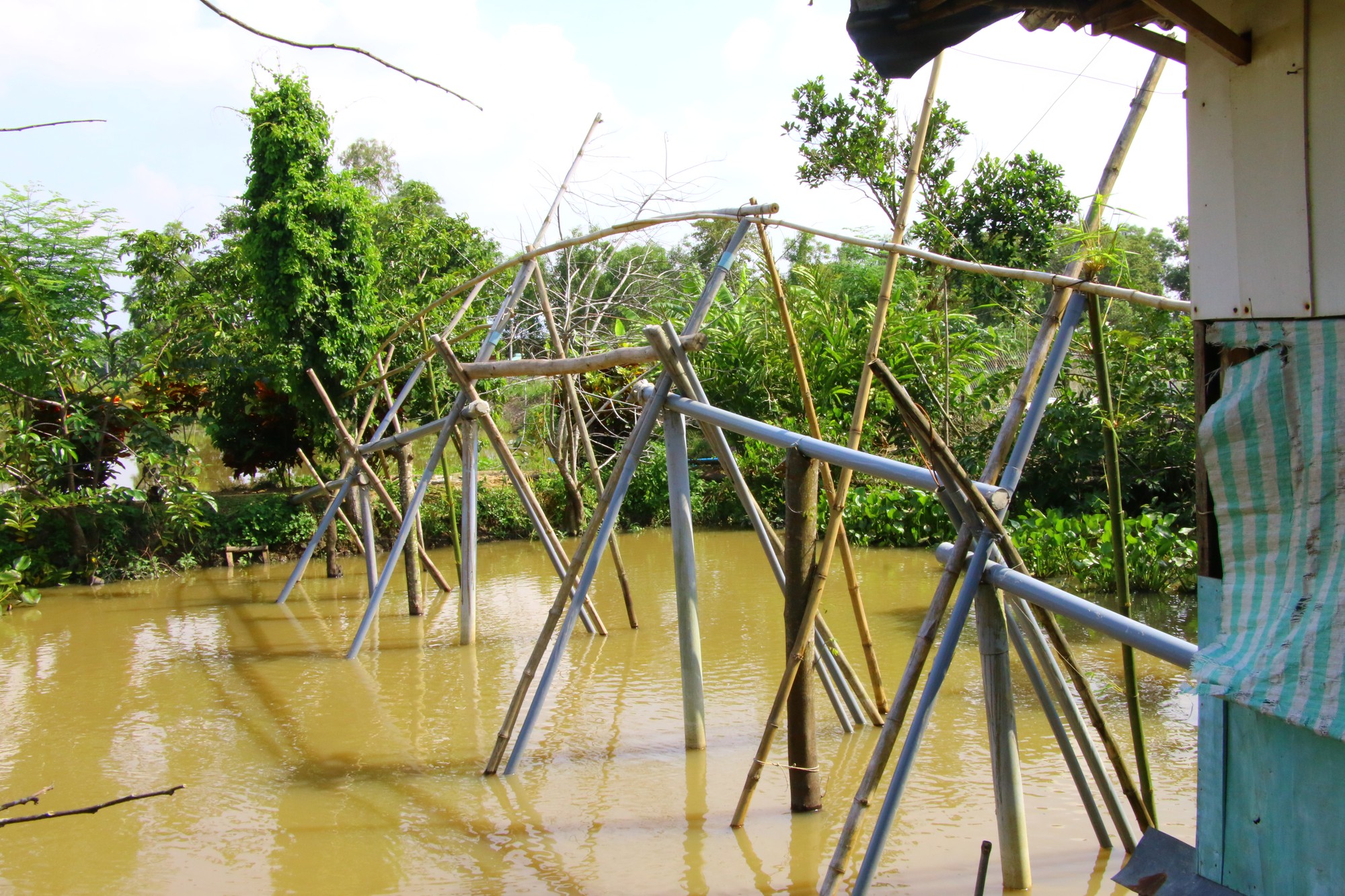 Những hình ảnh thân thương tại nhà Đại tá phi công Nguyễn Văn Bảy - Ảnh 3.