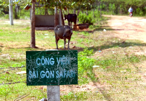 Dự án Sài Gòn Safari: Phê bình nghiêm khắc lãnh đạo 2 sở và huyện Củ Chi - Ảnh 1.