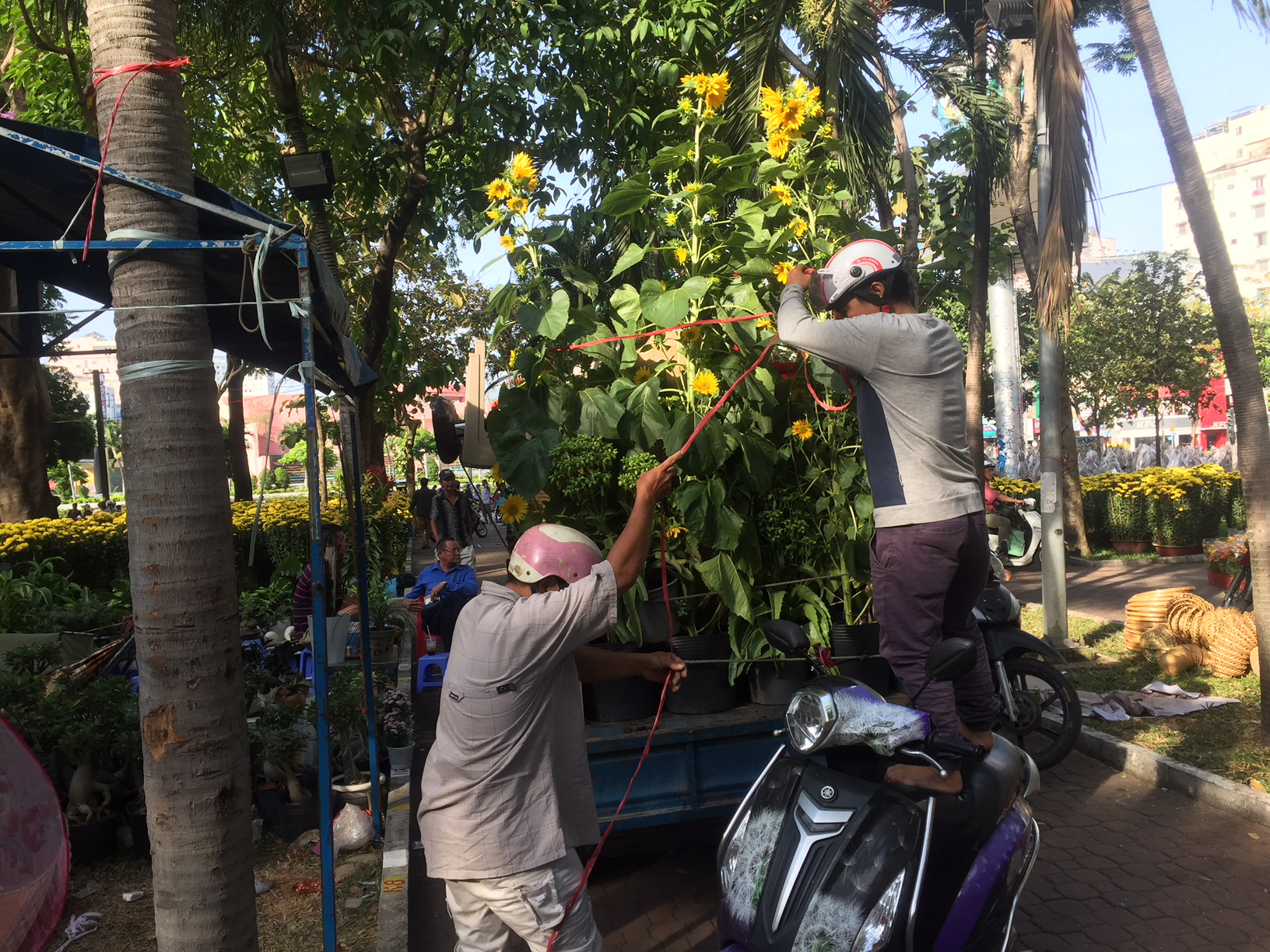 Chen nhau mua hoa giảm giá sáng 30 Tết, hàng chục gốc đào xứ Bắc bị bỏ lại ở chợ hoa - Ảnh 8.