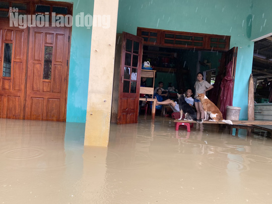 Đà Nẵng: Mưa to gió lớn gây ngập nặng, người dân chèo ghe đi tiếp tế lương thực khắp xóm - Ảnh 13.