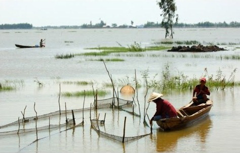 Xa rồi... mùa nước nổi - Ảnh 3.