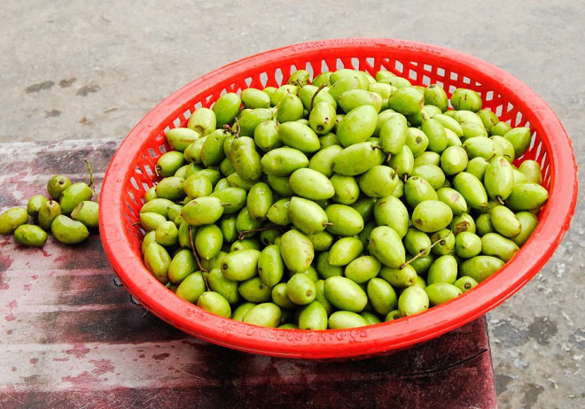 Những món ngon từ trái cà na tốt cho sức khỏe - Ảnh 1. Những món ngon từ trái cà na tốt cho sức khỏe - Ảnh 1.