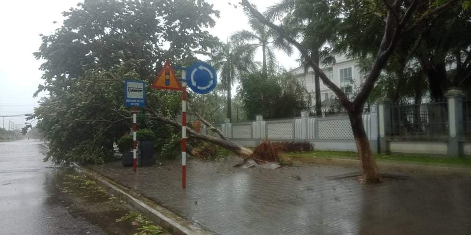 Bão số 9 quần thảo, Quảng Nam tơi bời, 2 ngư dân trên tàu bị sóng đánh chìm suýt chết - Ảnh 5.