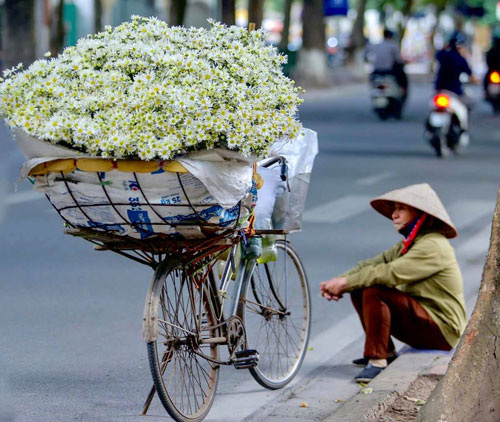 Phố đầu đông - Ảnh 1.