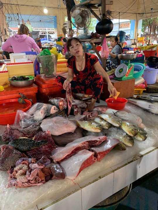 Tiểu thương vô tư xẻ thịt rùa xanh quý hiếm bán ở chợ Hà Tiên - Ảnh 1.