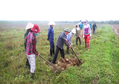 Miền Trung đối đầu giặc chuột - Ảnh 2.