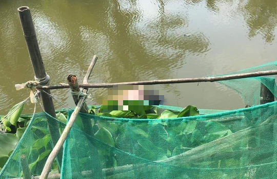 2 cha con người Trung Quốc nghi chết ngạt nước ở Bạc Liêu - Ảnh 1.