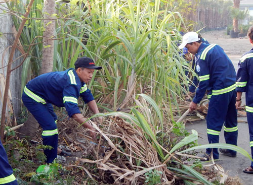 200 ngày thi đua chào mừng Đại hội Đảng bộ các cấp - Ảnh 1.