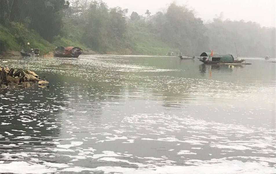 Cá chết hàng loạt bất thường trên sông Chu - Ảnh 5.