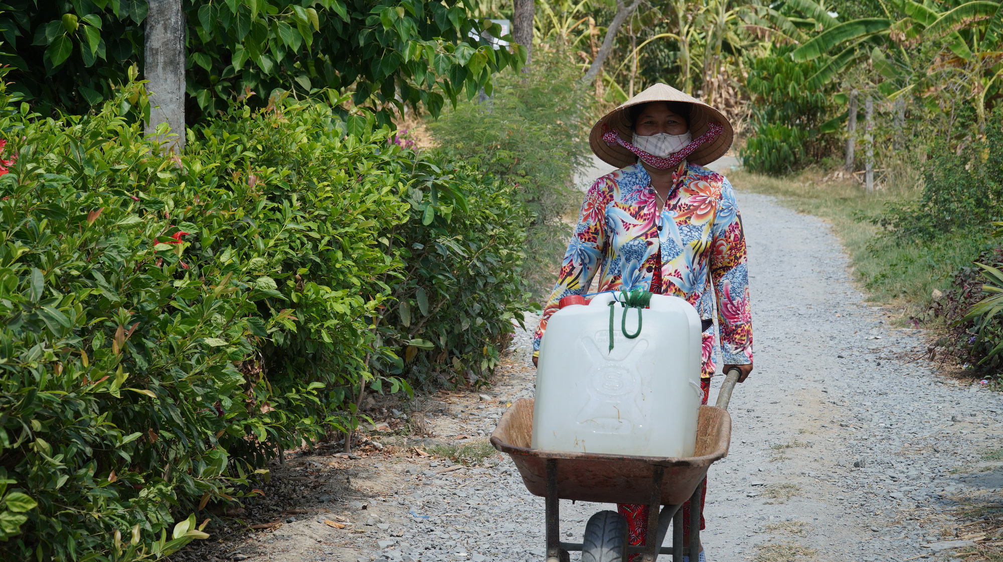 Nông dân miền Tây xếp hàng dài chờ nước ngọt trong cảnh hạn mặn - Ảnh 3.