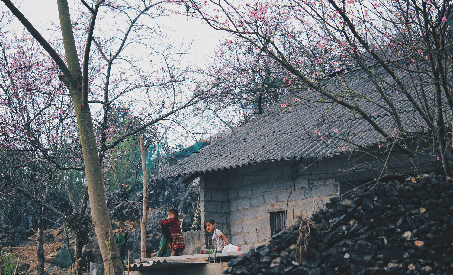 Du xuân Hà Giang, gieo mình giữa bạt ngàn hoa - Ảnh 8.