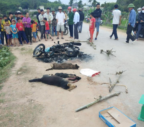 Vụ nghi trộm chó bị đánh hội đồng tử vong: Khởi tố vụ án, triệu tập nhiều người liên quan - Ảnh 1.